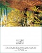 MK Herbst 96