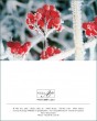 MK Winter 98
