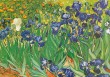 GC van Gogh; Les Iris