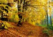 PK Herbst 28