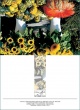 GC Sunflowers