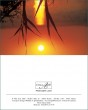 MK Abendsonne