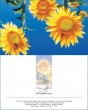MK Sonnenblumen 96